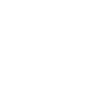 L1 Master Technicians